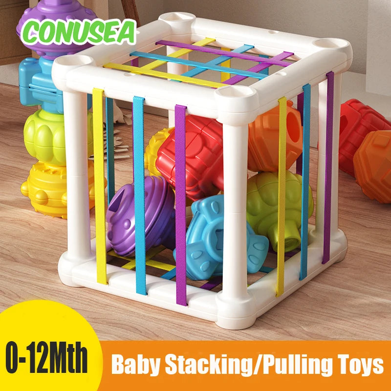 Montessori Baby Toys Stack Pull Blocks Games 0-12 Months Color Shade Sensory Development Learning Educational Toys Babies Infant.