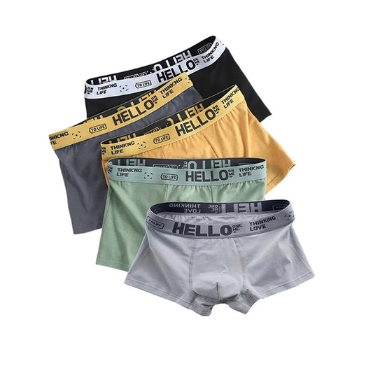 5PCS Boxer Höschen Männer Brief Unterwäsche Badehose Sexy Unterhose Atmungsaktivem Weiche Baumwolle Höschen Boxer Shorts Plus Größe