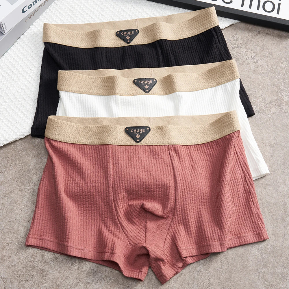 3 Teile/paket 100% Baumwolle Solide Stricken Gestreiften männer Höschen Super Weiche Hygroskopischen Atmungsaktive Boxer Hohe Elastische Taille Mann Unterwäsche