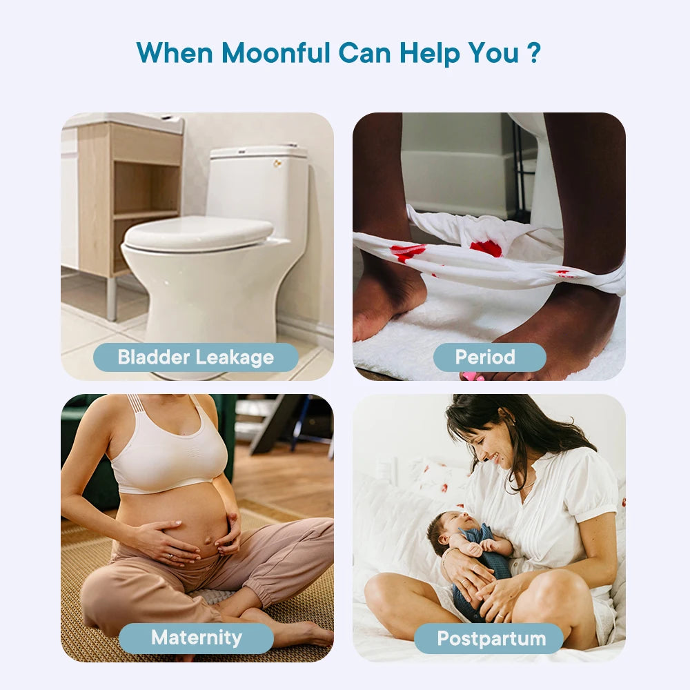 Women Incontinence Underwear Bamboo Fibre High Absorbency Reusable Washable Leakproof Panties for Bladder Leakage.