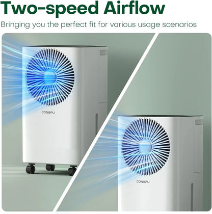 Dehumidifier Bedroom 12L/Day Continuous Drainage, 24H Timer, Automatic Defrost Humidity Control 2 Speed, Suitable for Room Home.