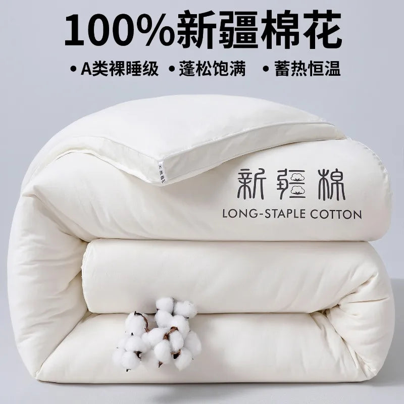 2025 new class A Xinjiang cotton thickened winter quilt spring and autumn quilt pure cotton quilt student dormitory warm.