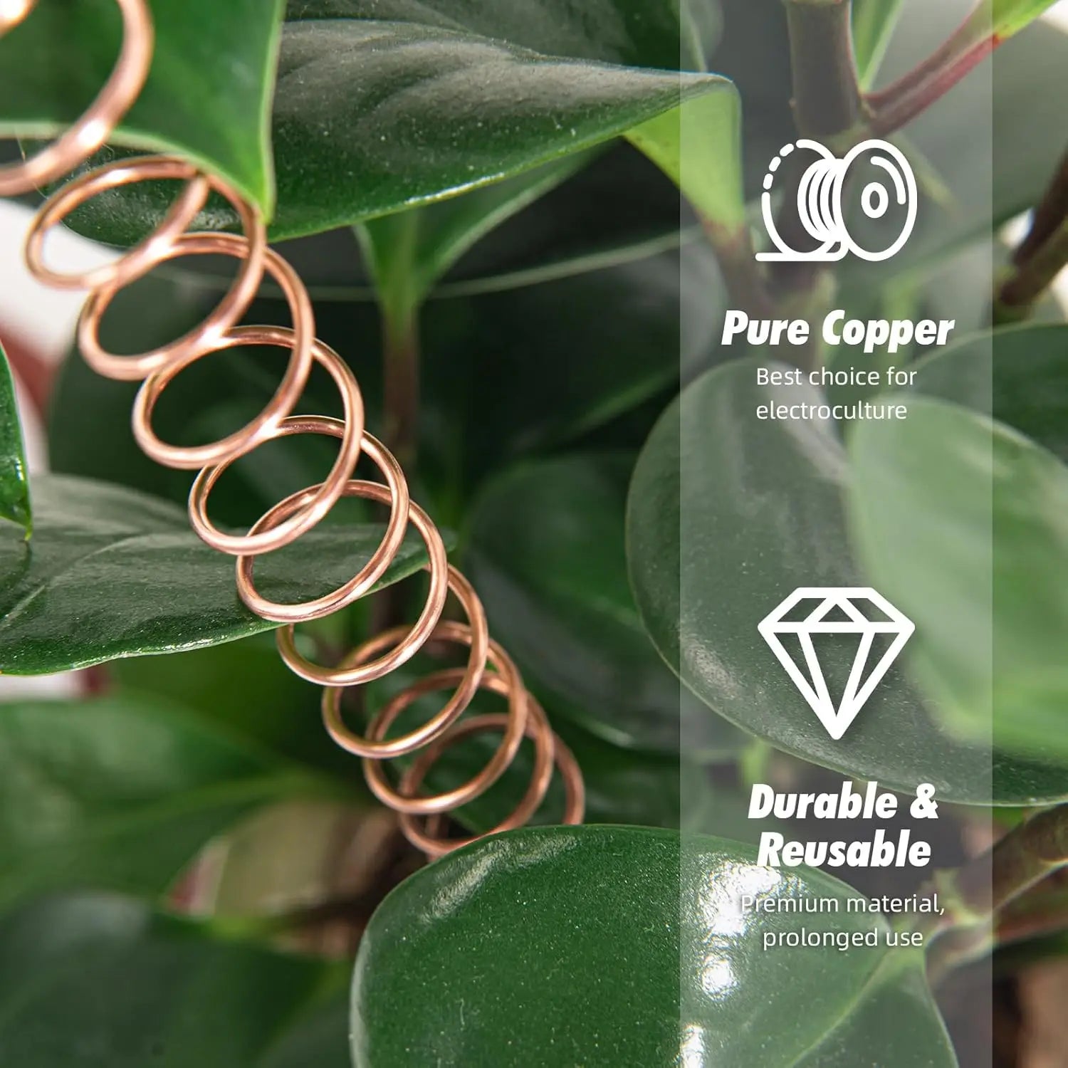 10M T2 Pure Copper Wire Round Coil Conductive Bare Copper Cable Wires for Electric Wire DIY Craft 0.3/0.5/0.8/1/1.2mm.