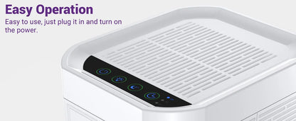 LOEFME Silent Dehumidifier 1.0L Portable Air Double Dehumidifier Dryer with LED Light Area 5–20m² for Home Bedroom living Room.