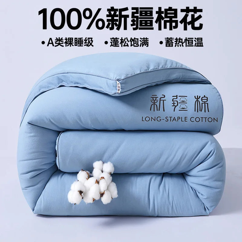 2025 new class A Xinjiang cotton thickened winter quilt spring and autumn quilt pure cotton quilt student dormitory warm