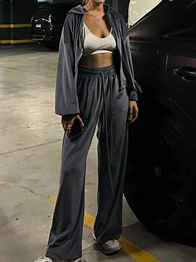 Women Autumn Hooded Coat Two Pieces Sets, Solid Patchwork Wide Leg Pants Chic Outfit, New Long Sleeve Casual Simple Ladies Suits