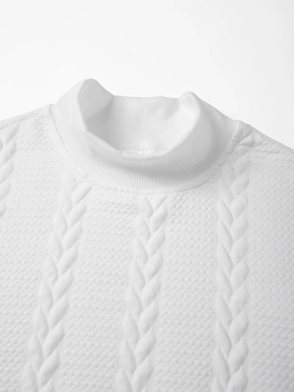 Autumn Casual Long Sleeve Pullover Turtleneck for Old Money Style Solid Color Knitted Jacquard Round Neck Sweater Male Clothing.