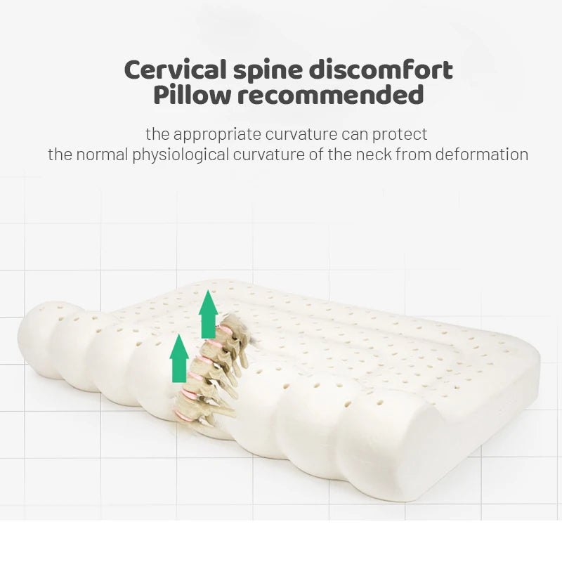 New Natural Latex Pillow with Organic Cotton Cover Standard Size Soft Pressure Relief Neck Pain Relief Bed Pillow for Side Queen.