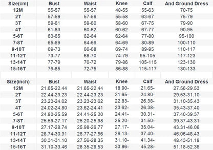 2025 Mädchen Neue Mode Prinzessin Kleid Große Kinder Weiß Klavier Leistung Puffy FormalParty WearParty Tragen Kleid Host Outfit Geburtstag.