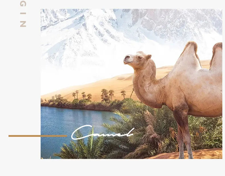 2025 new thickened polished camel hair quilt winter quilt student spring and autumn universal warm quilt in all seasons.