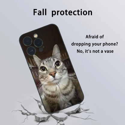Pet Cat Funny memes Phone Case For iPhone 16 15 14 13 Pro Max Plus Mini Frosted Soft Shell Funda.