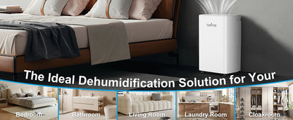 LOEFME 2L Dehumidifier Moisture Absorbers Home Air Dryer Electric Dehumidifier 12L/Day Dehumidification Timer 3 Modes W/ 3M Hose.