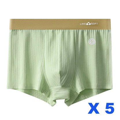 5-teilige gestreifte lustige Boxershorts für Herren, Unterwäsche, sexy Unterhose, Mann, männlich, Homme, U-konvexe Shorts, Dessous, Boxershorts, Höschen