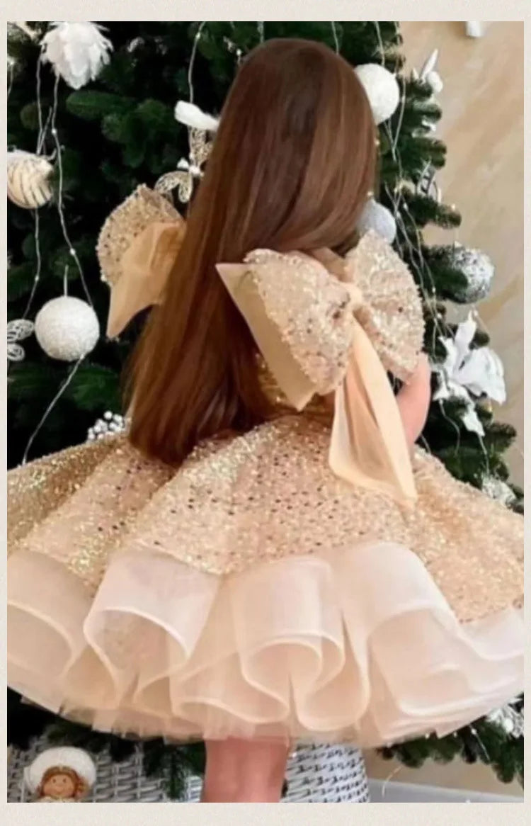 2024 neue Mädchen kleider für formelle Anlässe große Schleife und flauschige Ballett leistung Ballkleid Geburtstags kind Prinzessin Kleid.
