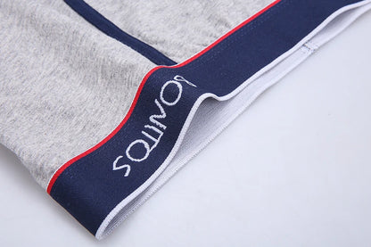 4 stücke Boxer Shorts Schlüpfer der Männer Homme Unterhose Boxershorts Unterwäsche für Mann Baumwolle Männliche Paar Sexy Set Calecon Lot weiche Box