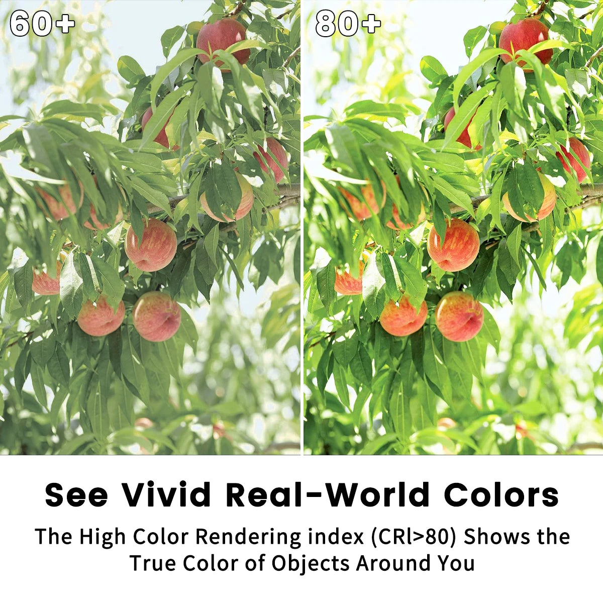 LED-Notfalllampe, wiederaufladbare Glühbirne, 7 W, E27, 110 V, 220 V, tragbar, zum Aufhängen, 3-Wege-Campinglampe, Zelt, Zuhause, Stromausfall, Veranda.