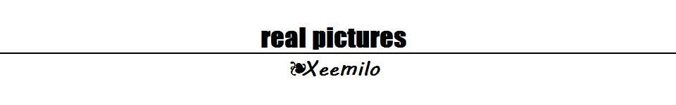 Y2K Sommerkleid Damen WhereMery Y2K Sommerkleid.