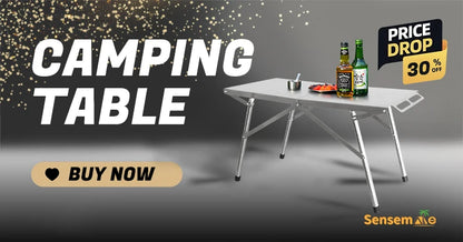 Tragbarer, holzgefeuerter Pizzaofen für den Außenbereich mit 12-Zoll-Stein und Thermometer, klappbare Beine, Camping-Grillmaschine aus Edelstahl für den Hinterhof