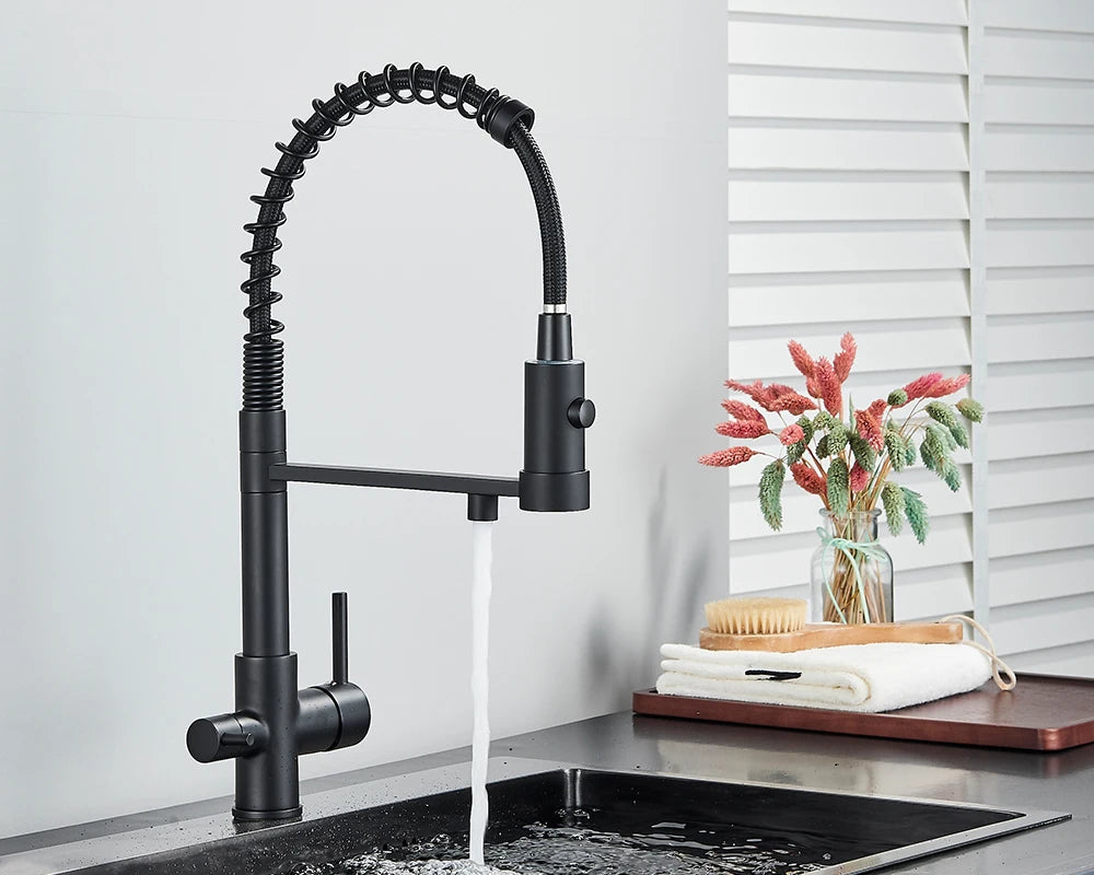 Black Filtered Kitchen Water Filter Kitchen Faucets Dual Spout Filter Faucet Mixer Water Purification Water Crane For Kitchen