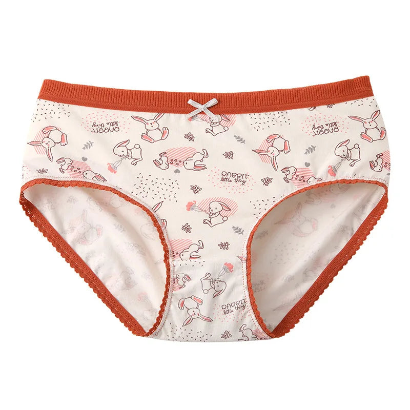 New Women Panties Antibacterial Cotton Lace Underwear Women's Floral Sweet Girls Briefs Mid-waist Shorts Female Lingerie M-XXL