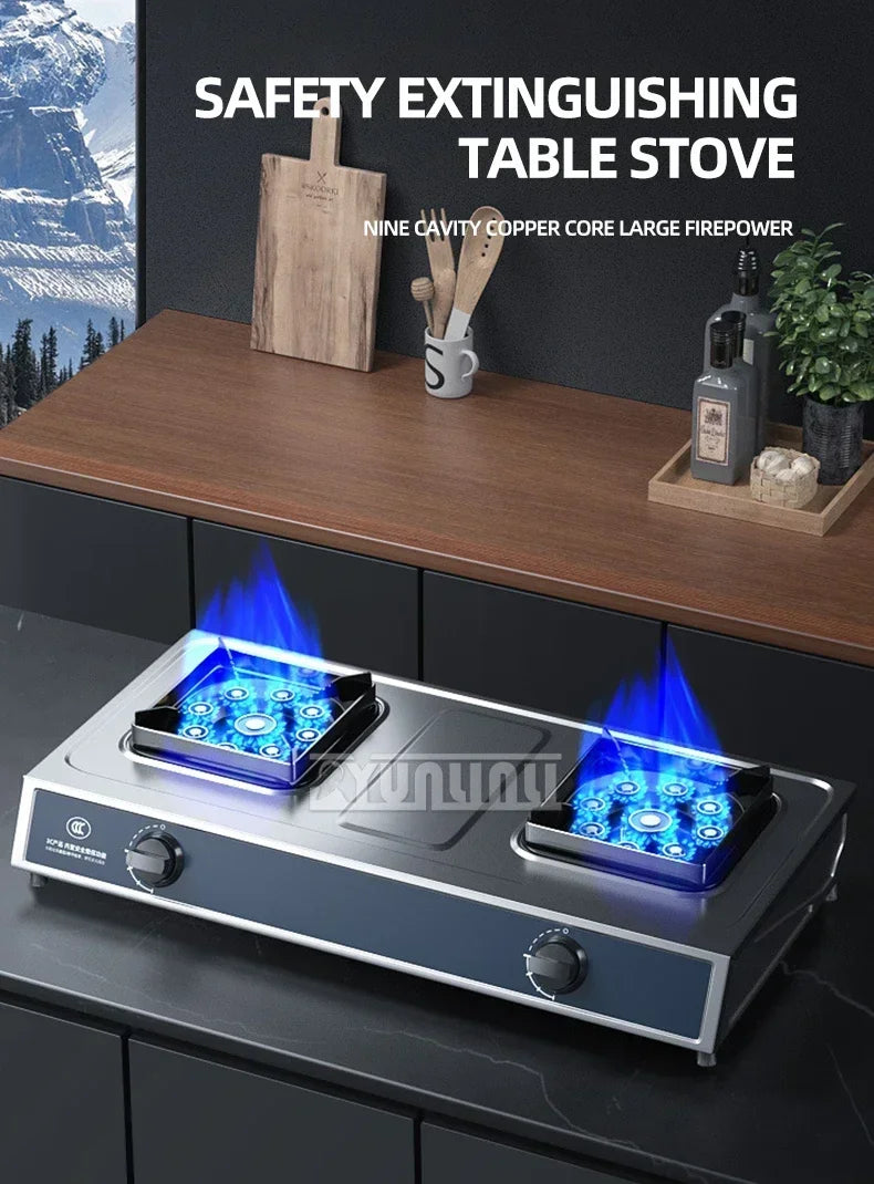 Desktop Stainless Steel Double Stove Household Bench Top Strong Fire Liquefied Natural Gas Stove.