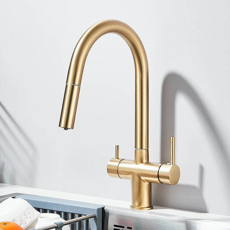 Filter Kitchen Faucet Pull Out Flexible Drinking Water Kitchen Faucets Dual Handle Metal 2 in 1 Hot Cold Water Mixer Tap