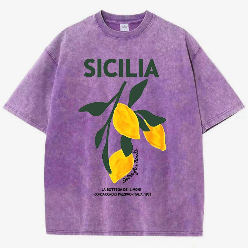 Amalfi Coast Italia Lemon Fruit Design Women Washed T-Shirts Y2K Casual T Shirt Summer Hip Hop Top Cotton Loose Short Sleeve.