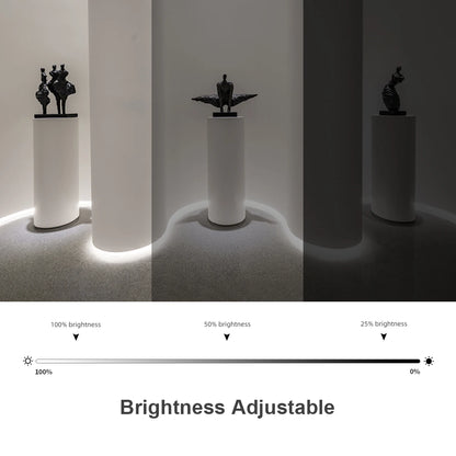 Waterproof COB LED Strip Lights 24V Flexible Neon Light Black Silicone Tube Linear Dimmable Lighting with Touch Sensor Switch.