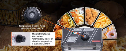 SucceBuy 12L 3000W Commercial Electric Deep Fryer w/Dual Tanks  Stainless Steel Countertop Fryer for Fried Chicken French Fries.